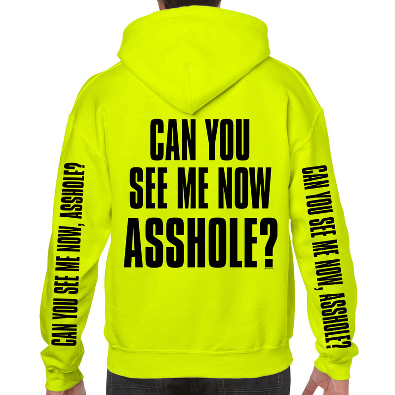 Can You See Me Now Asshole? Pullover Hoodie